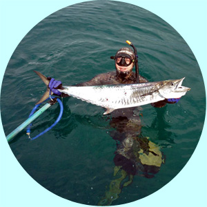 activities-spearing