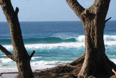 Sodwana Bay