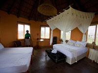 humpback lodge