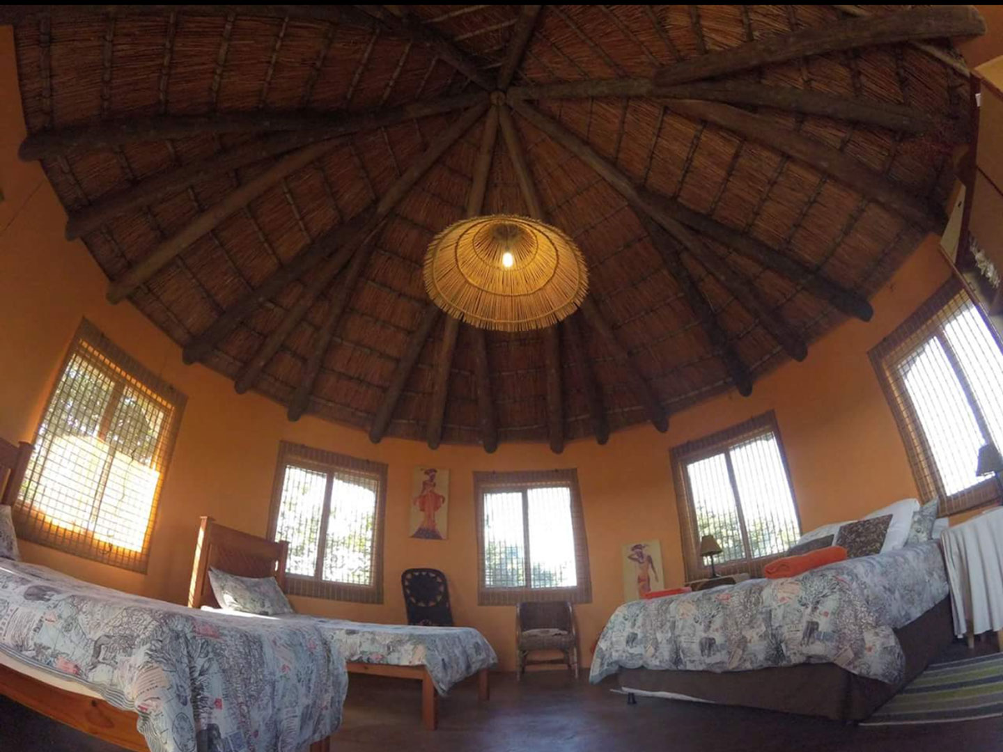 humpback lodge